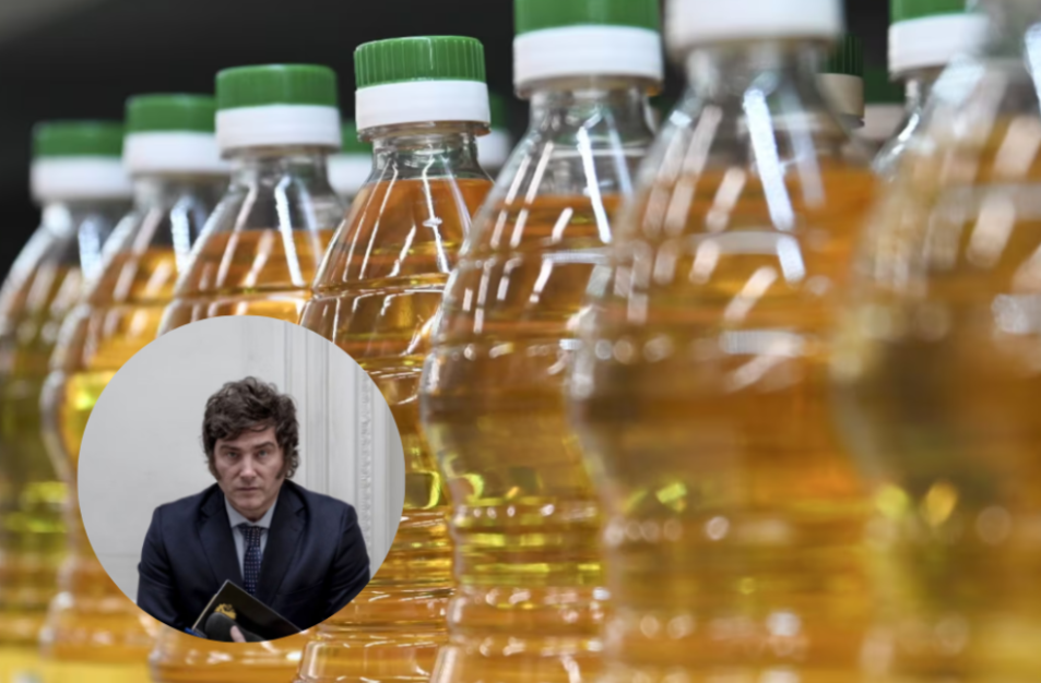 El aceite de girasol alcanzó las 448.259 toneladas, un volumen que se ubica 138% por encima del promedio de la última&nbsp;década