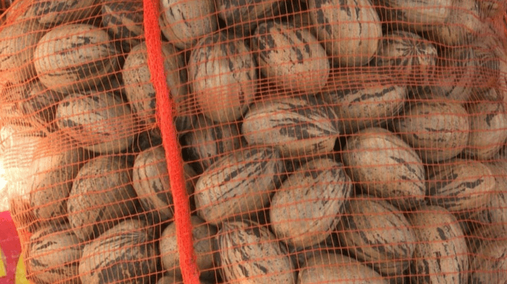 Productores de nuez pecán impulsan la expansión del sector tras su incorporación al Código&nbsp;Alimentario