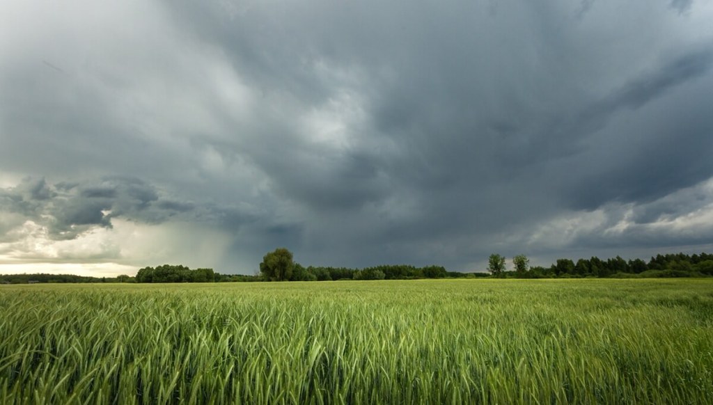 Clima irregular marcará la campaña agrícola en gran parte del&nbsp;país