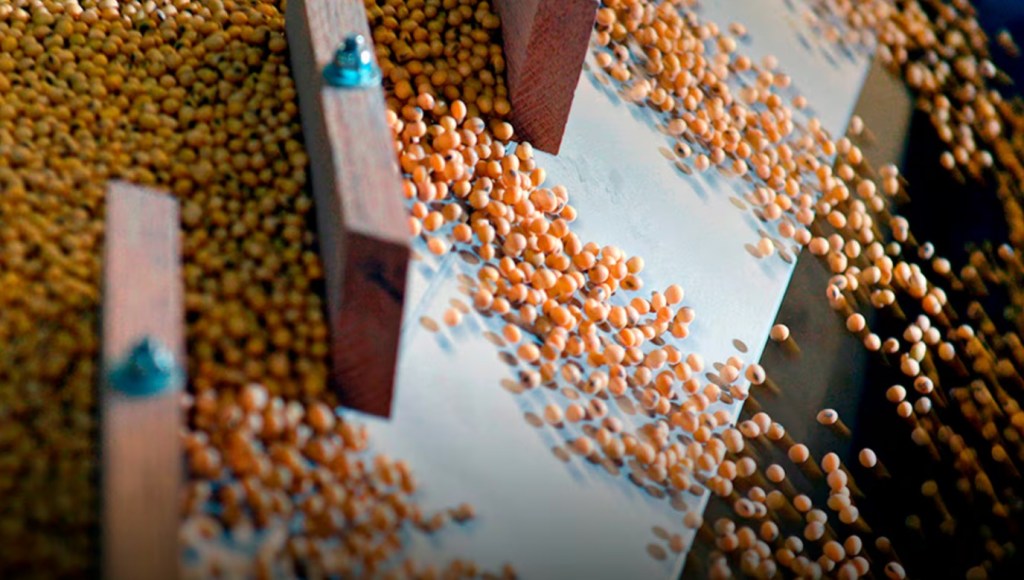 El mercado de granos registró variaciones en las cotizaciones durante el inicio de la&nbsp;semana