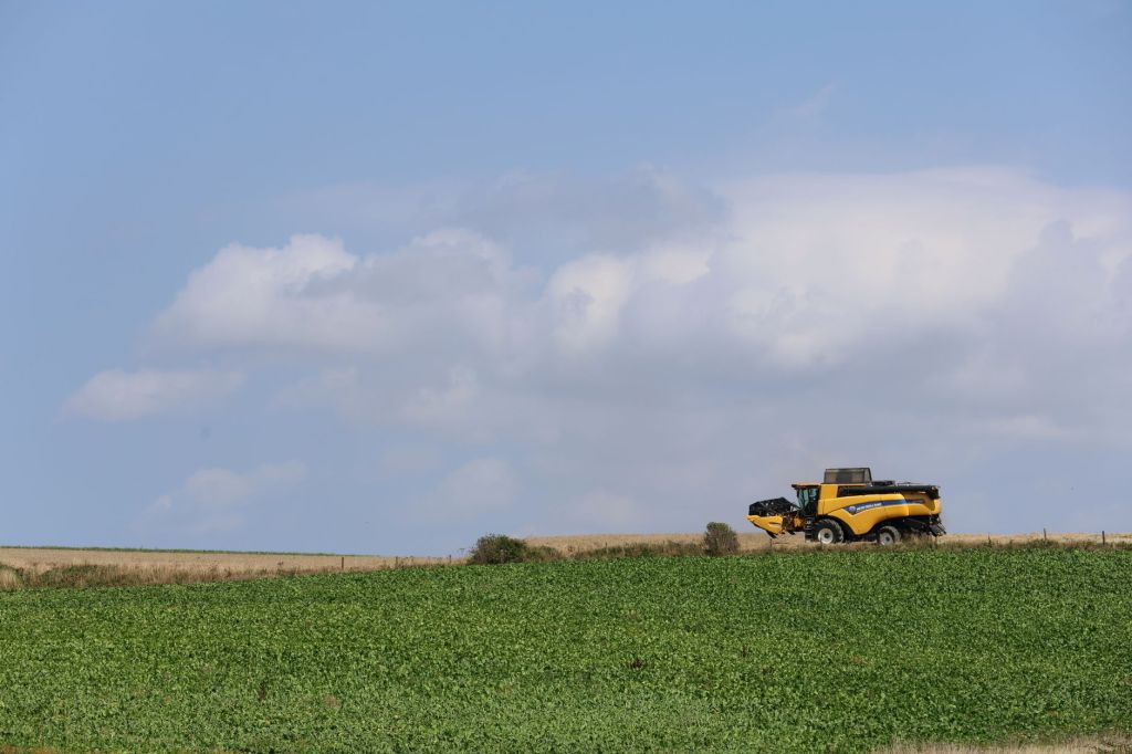 Debilidad estructural: 77 años de medidas adversas para el agro