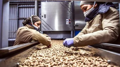 Economías regionales logran récord histórico en exportaciones