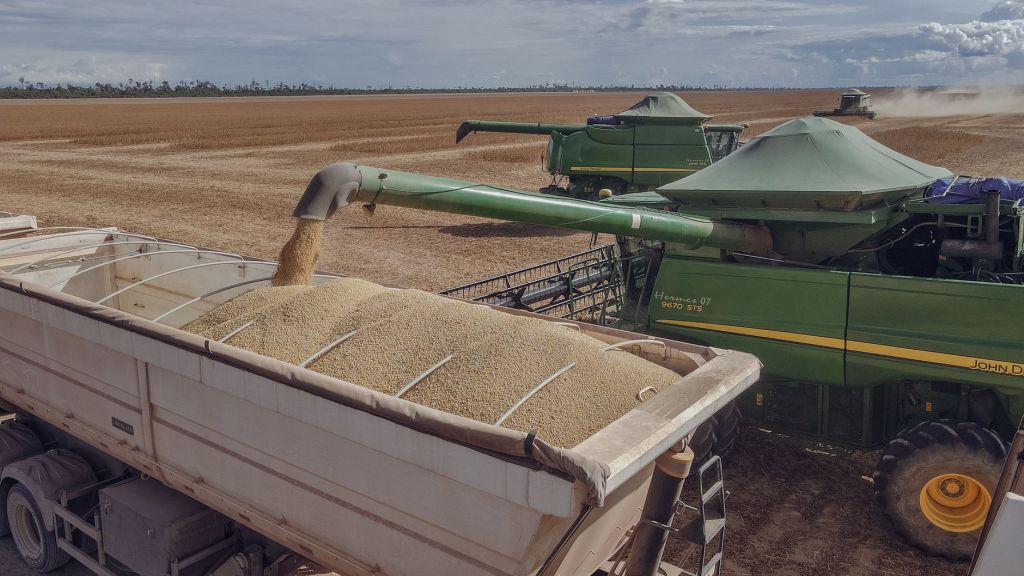 El biodiésel impulsa la demanda interna de aceite de soja en Argentina